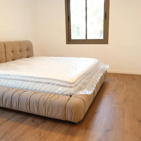 Alaya ניקוסיה